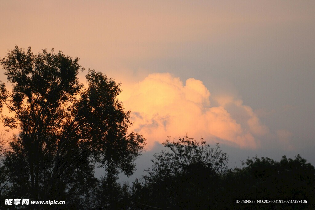 夕阳下的树木与绚烂云彩