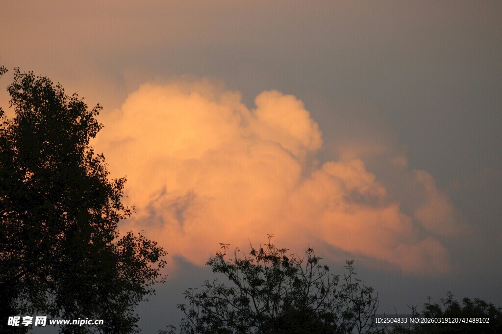 夕阳下的云朵与树木