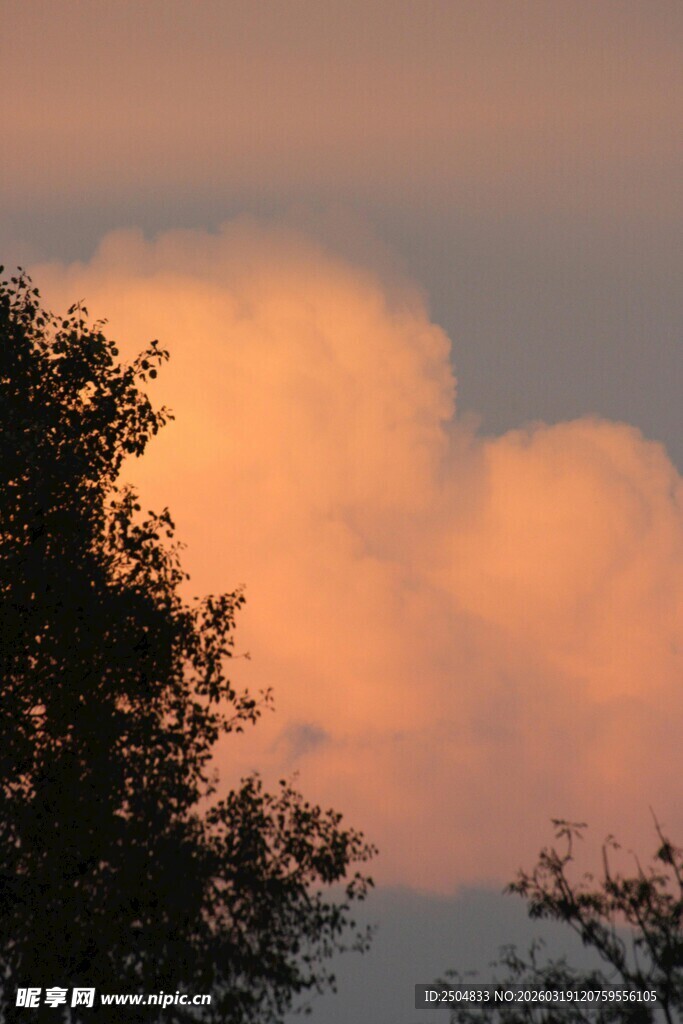 夕阳下的树木与绚丽云彩