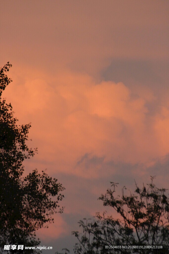 夕阳下的树木与绚丽云彩