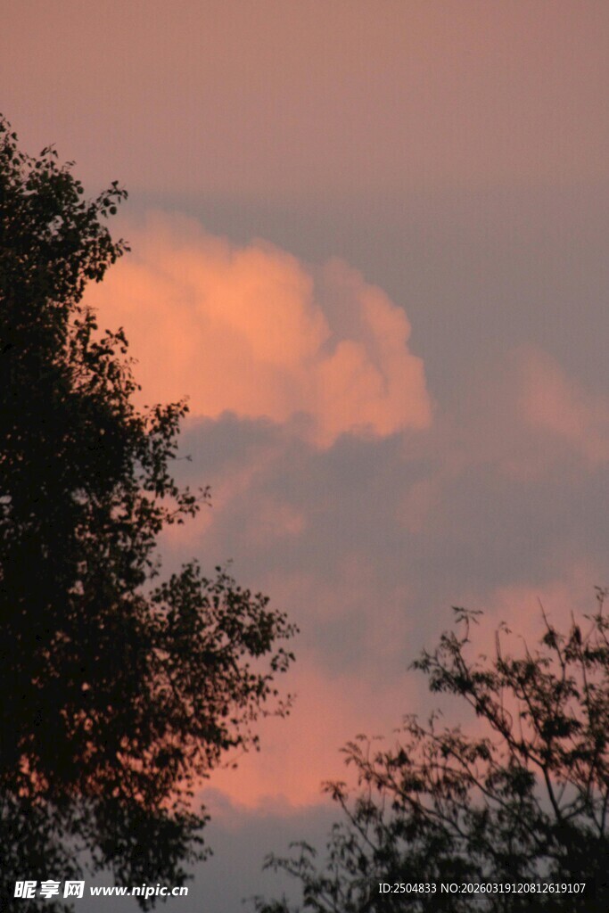 夕阳下的树木与天边云彩