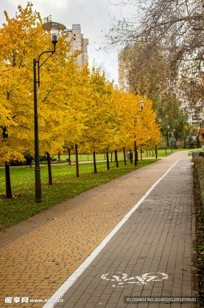 秋日林荫小道美景