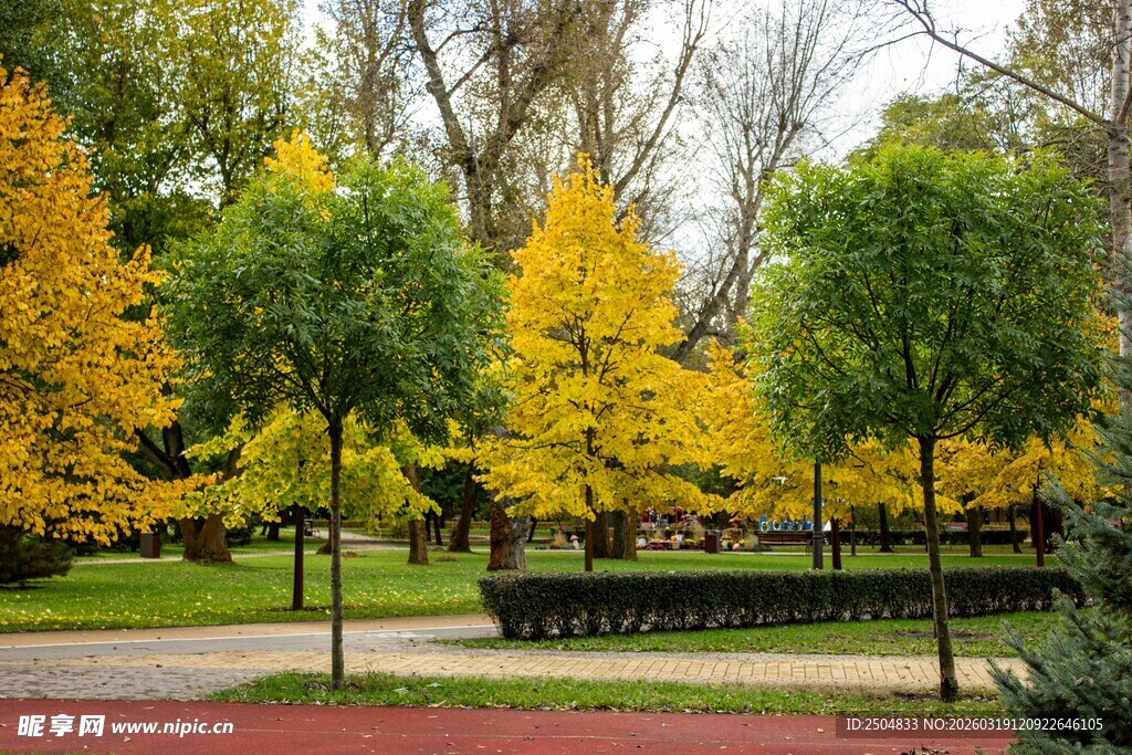 秋日公园绚丽多彩景致