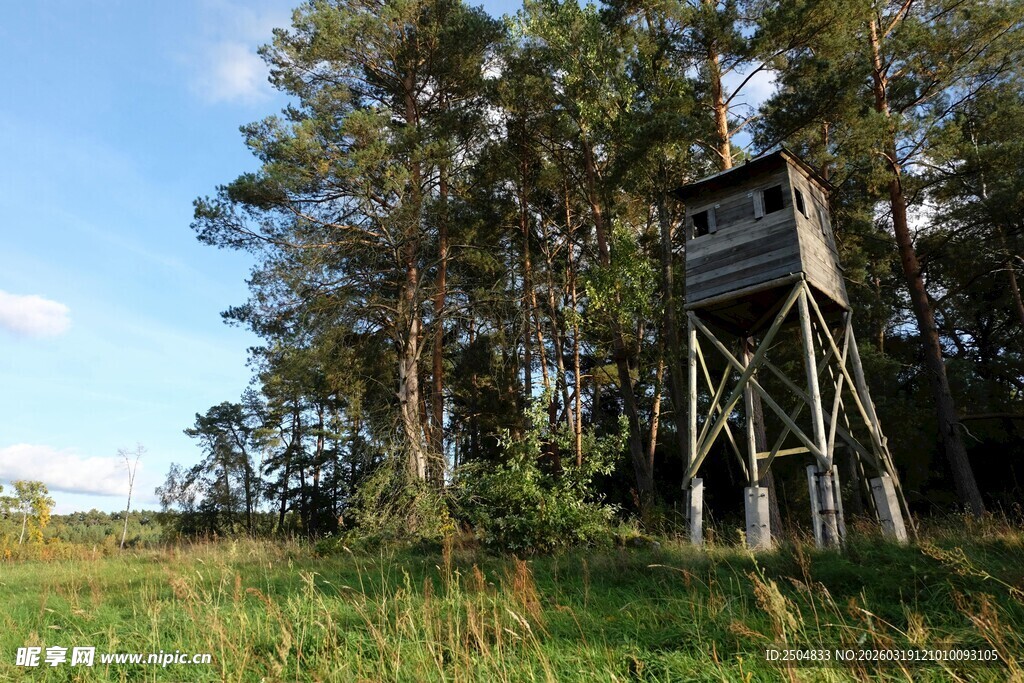 林间瞭望塔