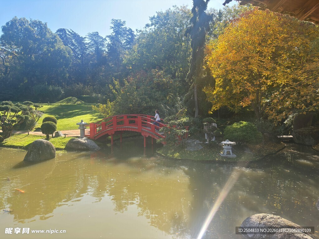 秋日园林池塘景致