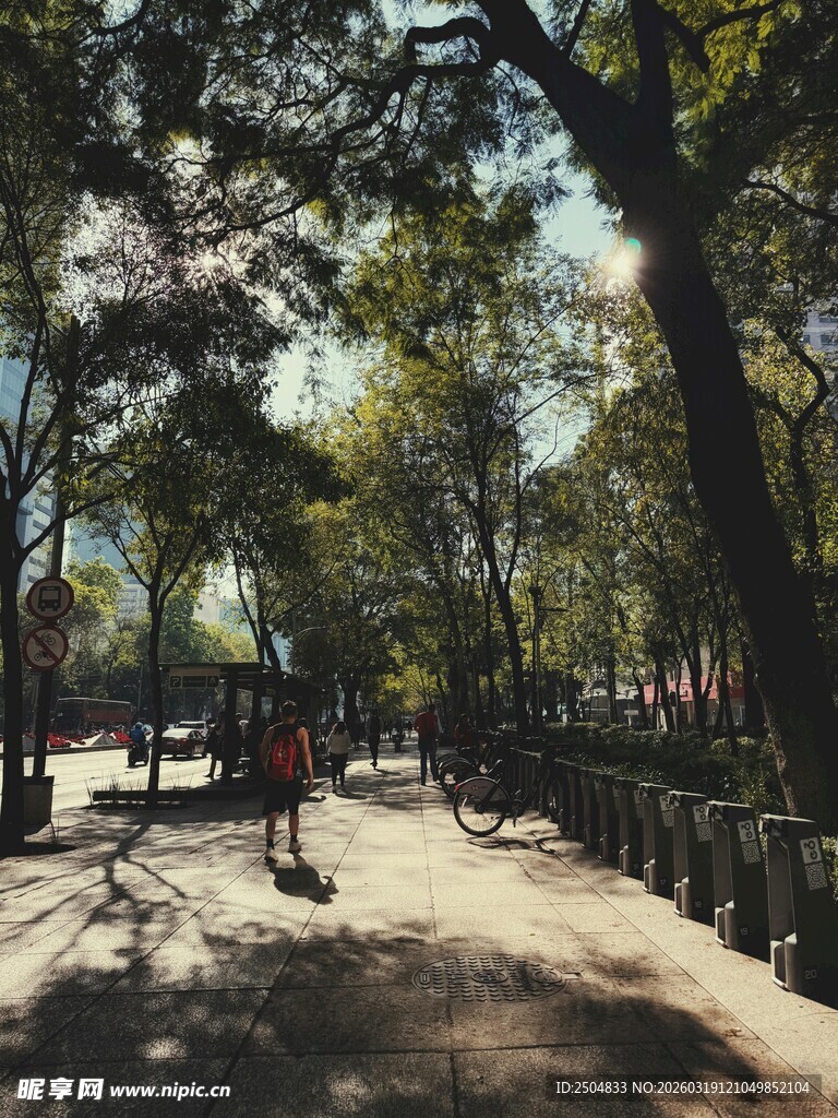 林间漫步小道 静谧好风光