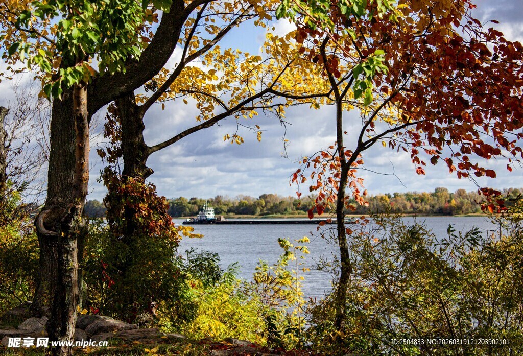 秋日湖畔树林美丽景致