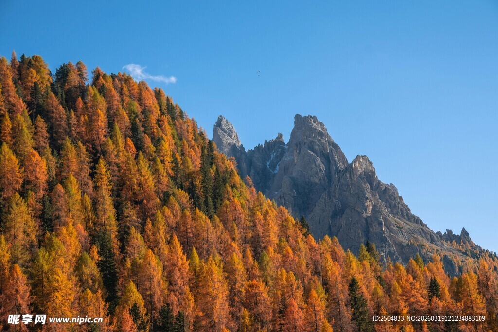 秋日山林中的巍峨山峰