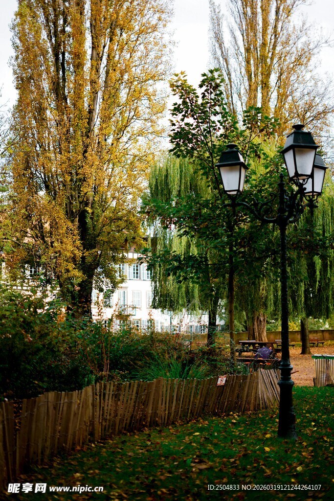 秋日公园路灯下的静谧景致