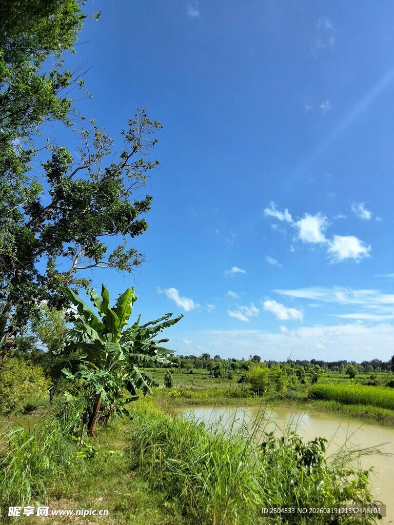乡村田野风光美景