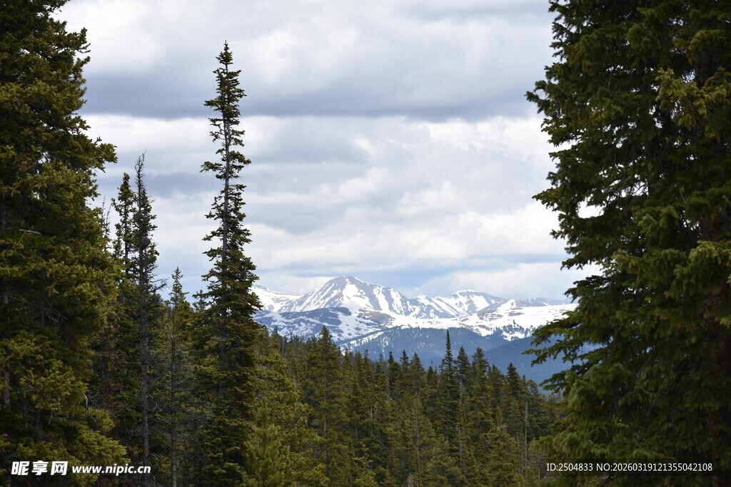森林间远眺雪山美景