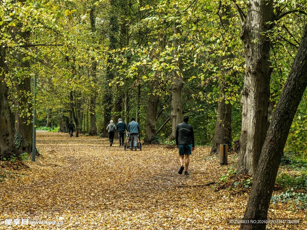 林间漫步的徒步者