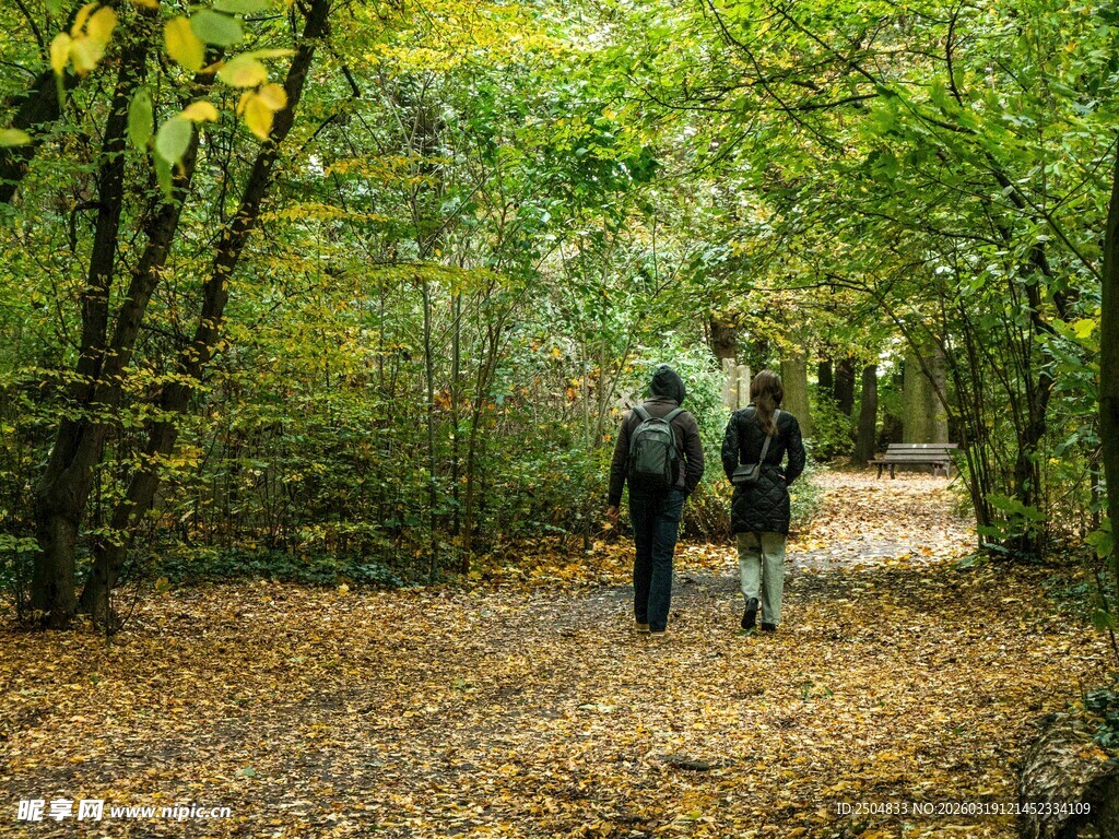 秋日林间徒步的两人