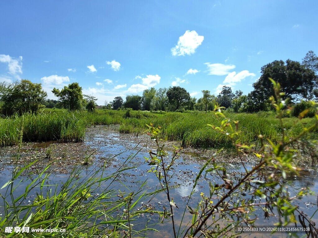 乡村湿地风光美景