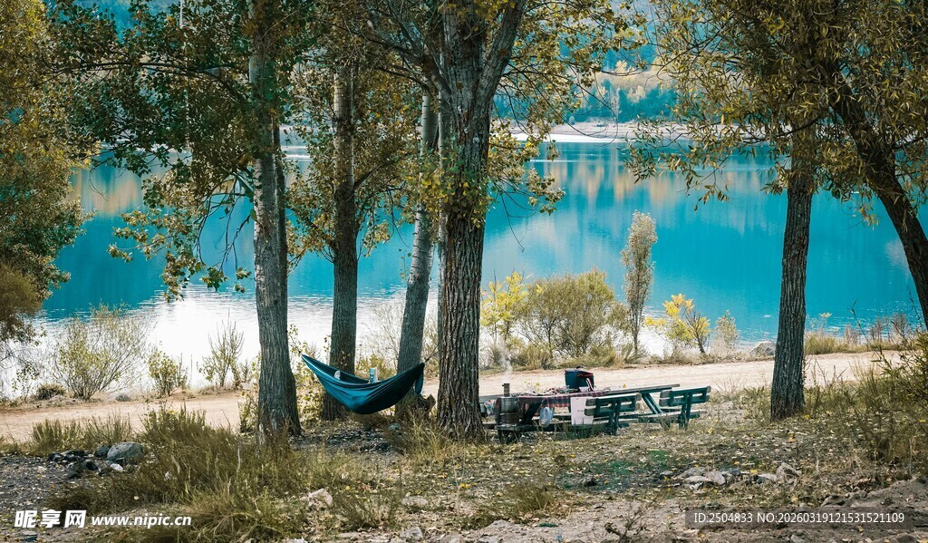 湖畔林间惬意野餐场景
