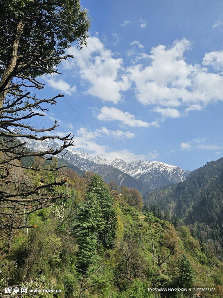 山间绿树蓝天壮美景色