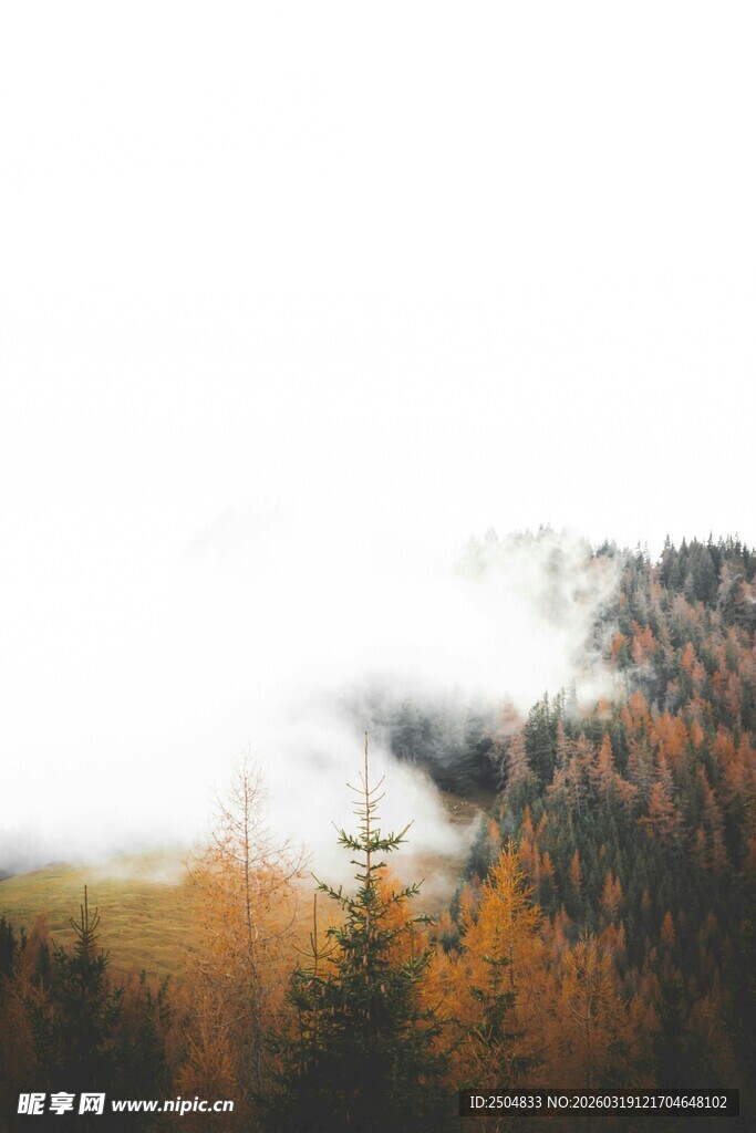 云雾缭绕的多彩山林