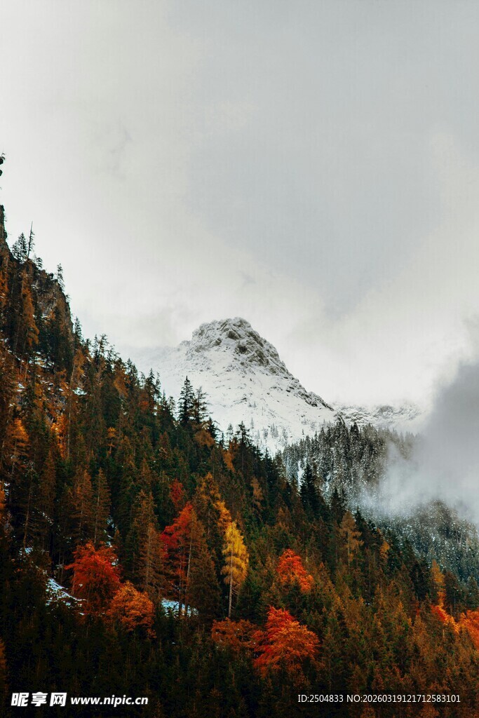 秋山林间 云雾缭绕的雪山