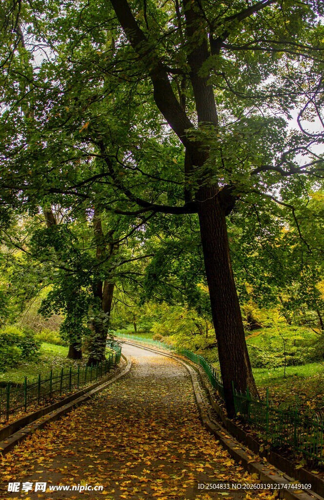 林间秋景 铁轨铺就诗意小径