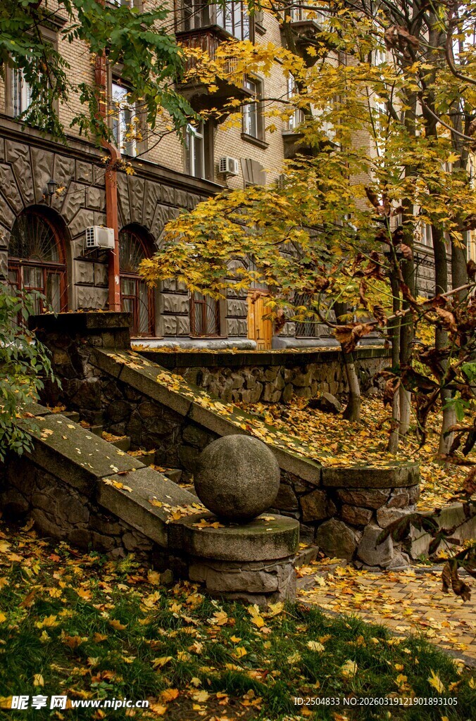 秋日庭院中的石阶景致