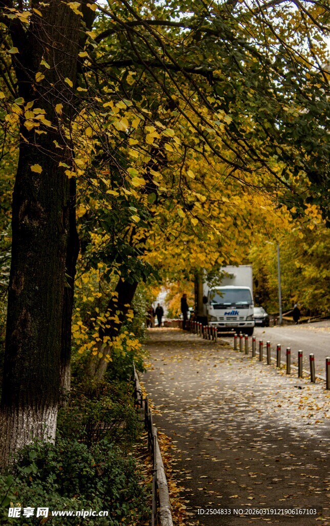 秋日林间静谧小道