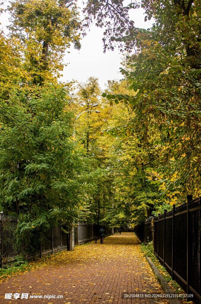 秋日林间小道的斑斓景致