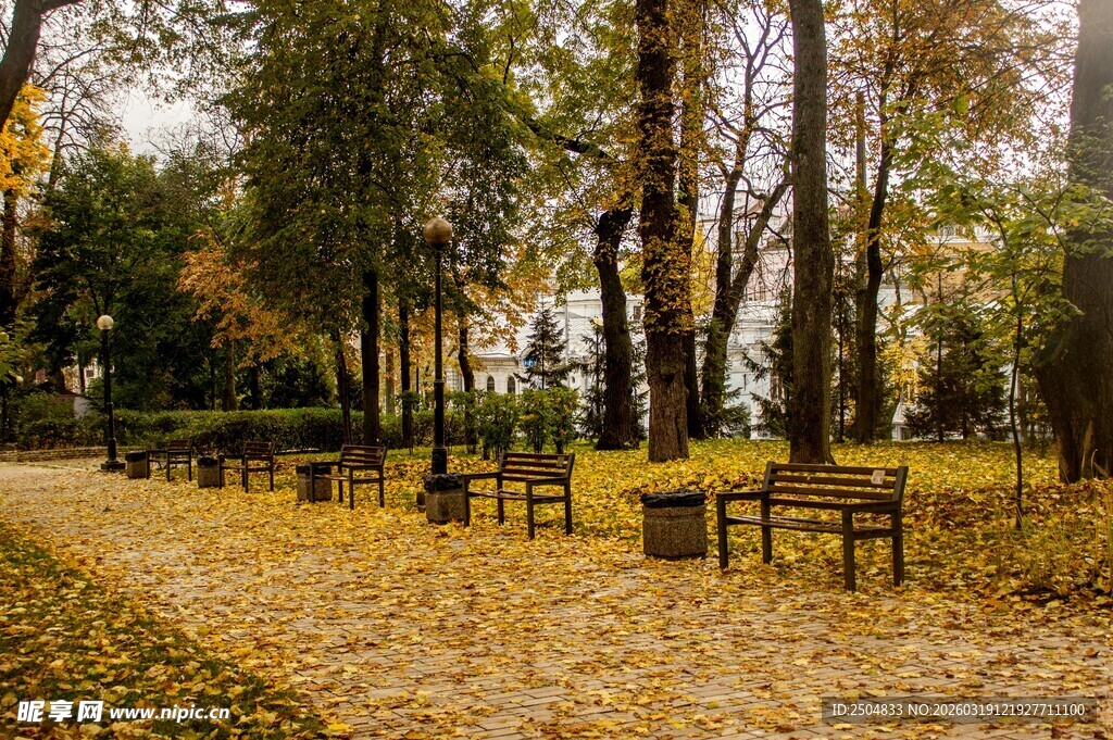 秋日林间长椅美景