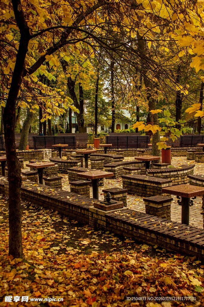 秋日公园长椅落叶景致