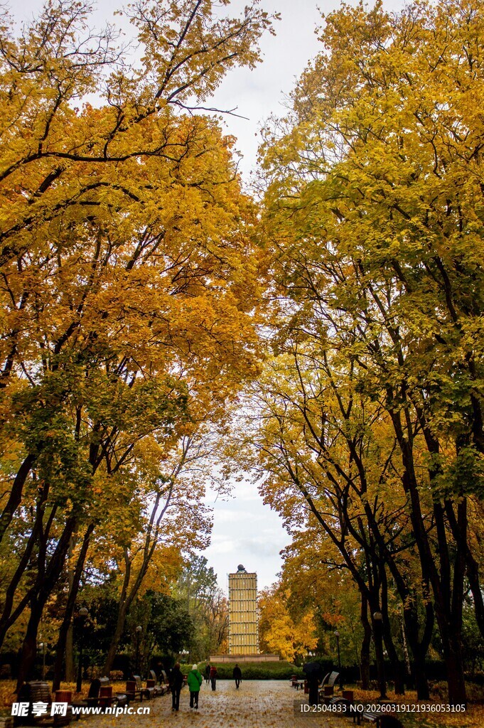 秋日林间漫步美景