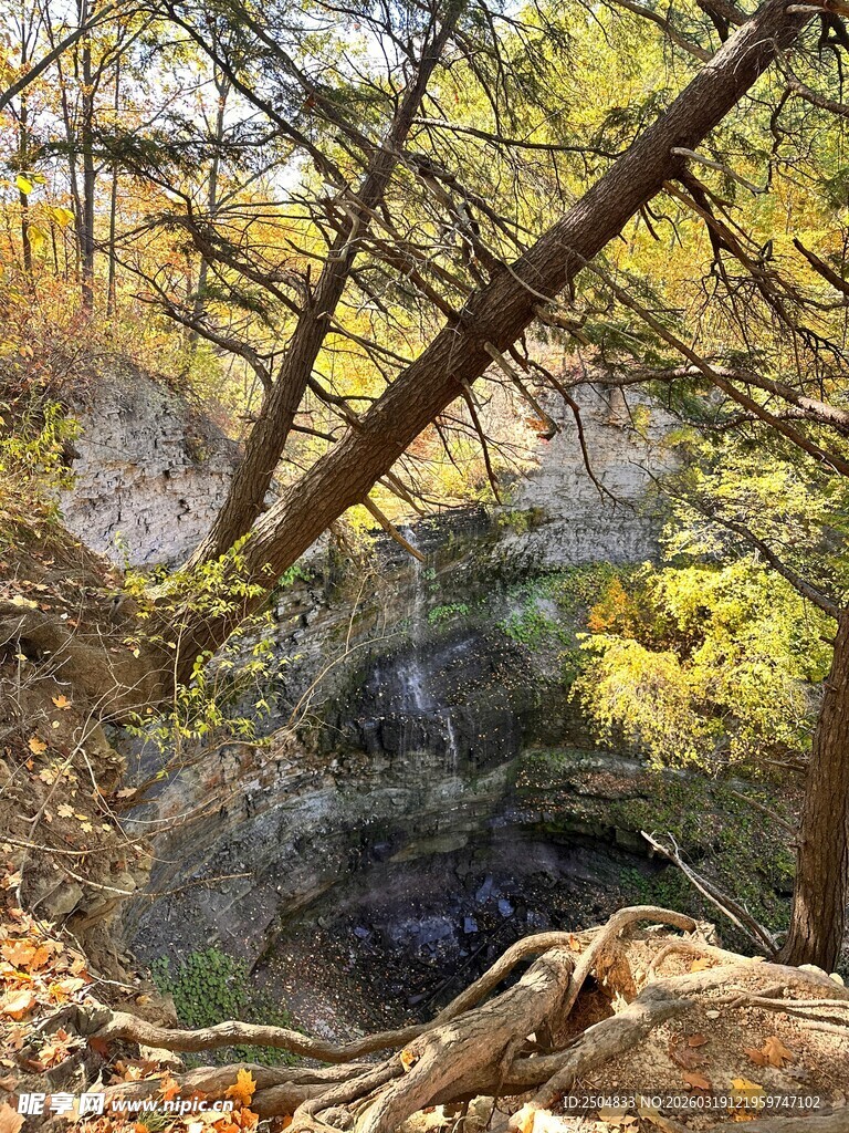 山林间的岩石与繁茂树木