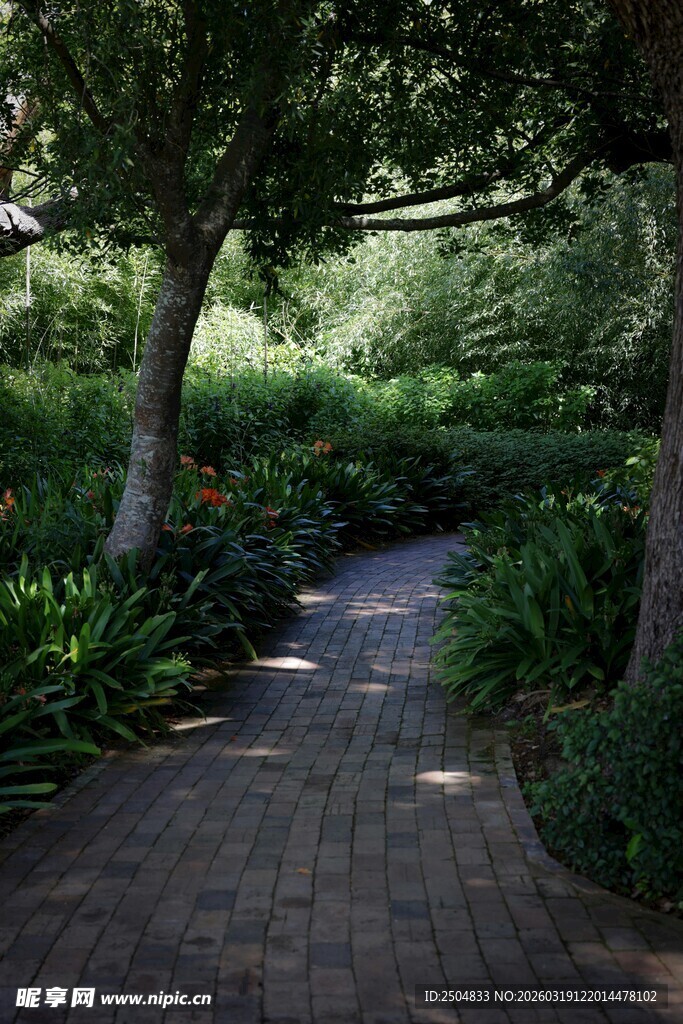 林间砖径 绿意盎然的小径