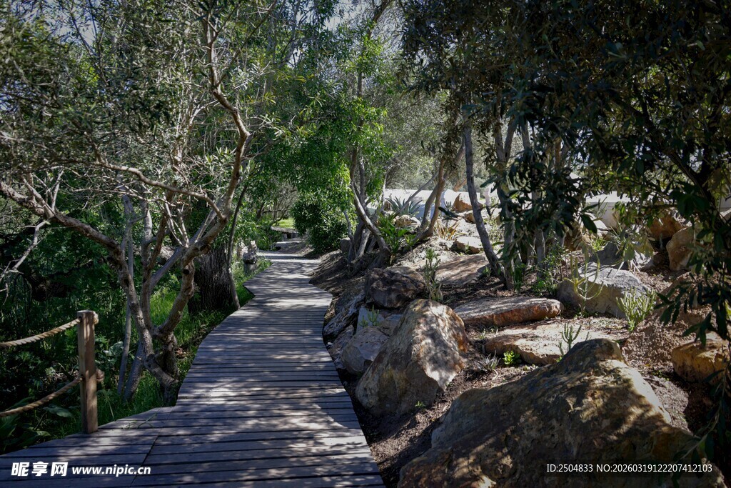林间石径 自然静谧之景