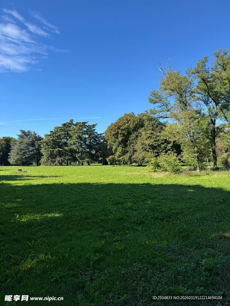 广阔绿草地与蓝天树木