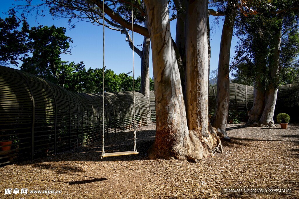林间树木与围栏景象