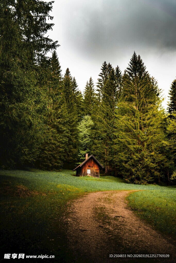 森林中的静谧小屋