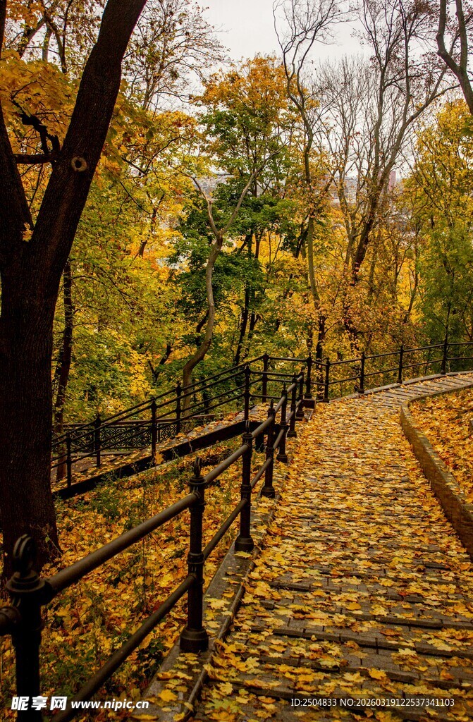 秋日林间铺满落叶的小路