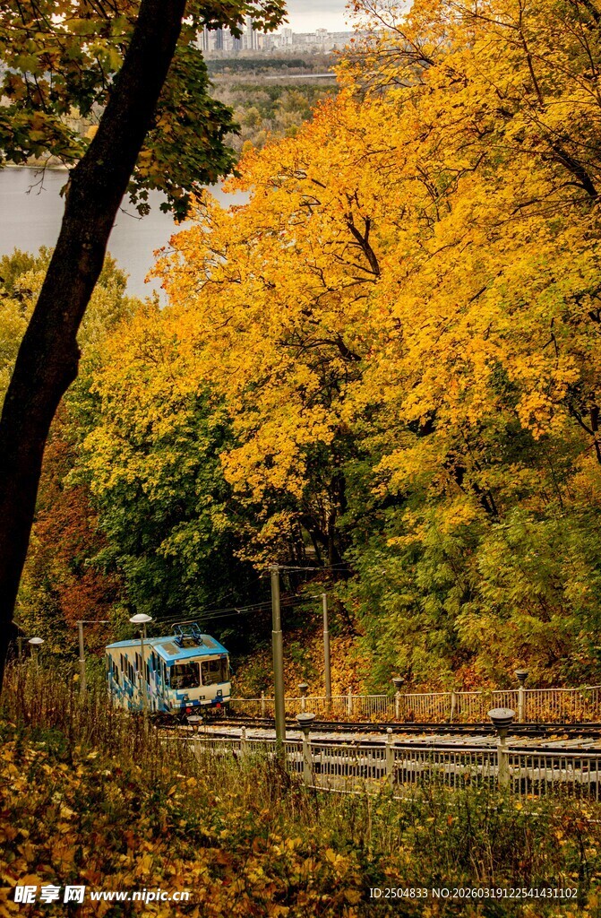 秋日林间公路秋景