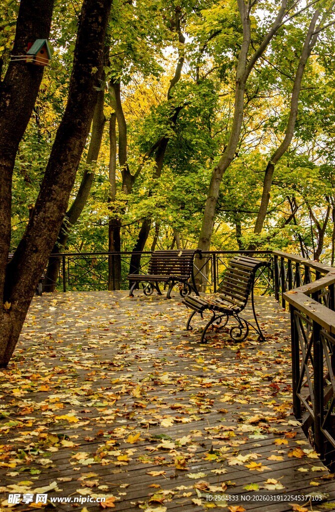 秋日林间小径与长椅