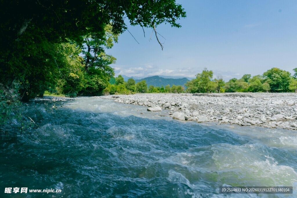 湍急溪流穿行于葱郁林间