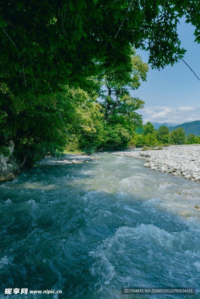 山间湍急溪流与葱郁绿树