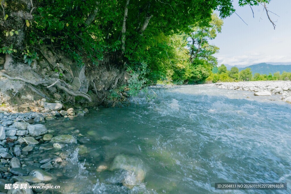 山间溪流 绿意环绕之景
