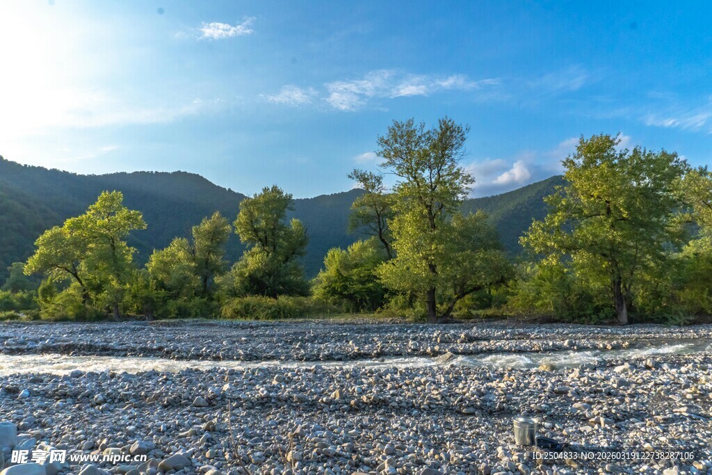 山间砾石滩与葱郁树林