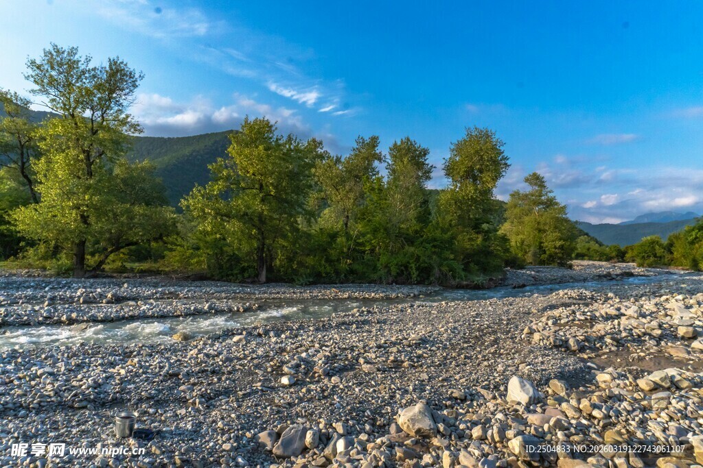 河畔碎石与葱郁树林景观