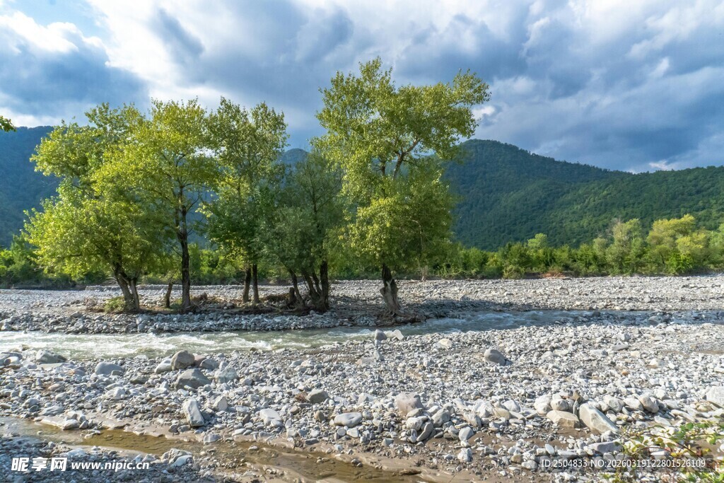 河畔绿树与远山风景