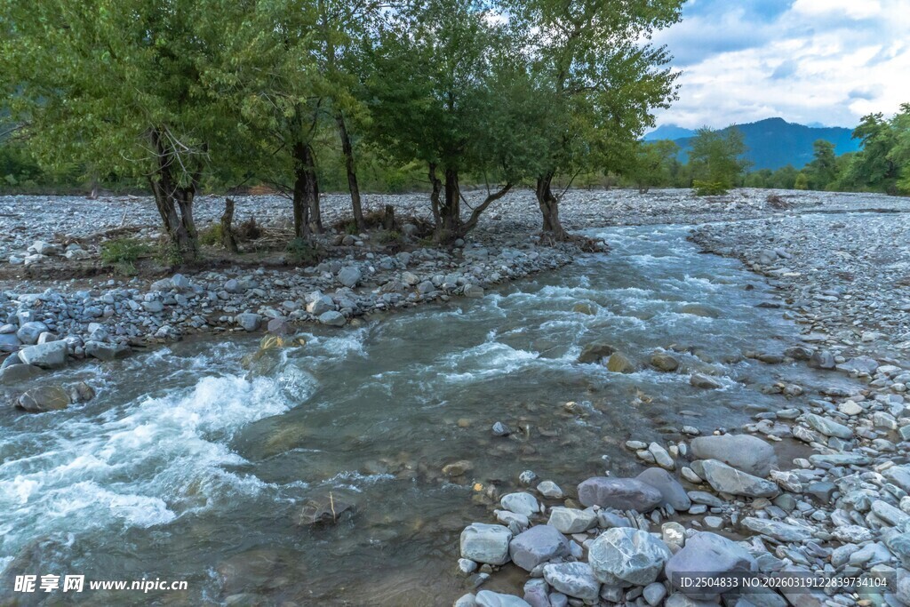 山间溪流潺潺 绿树相伴