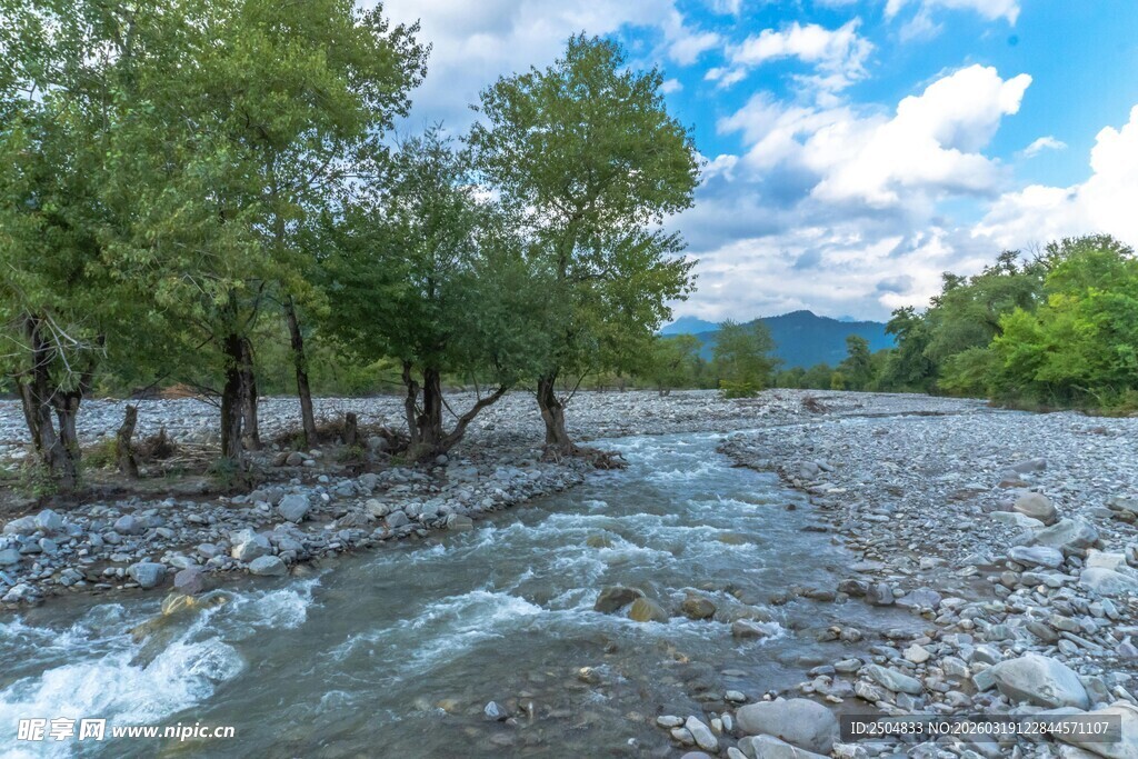 山间溪流 碎石与绿树相伴