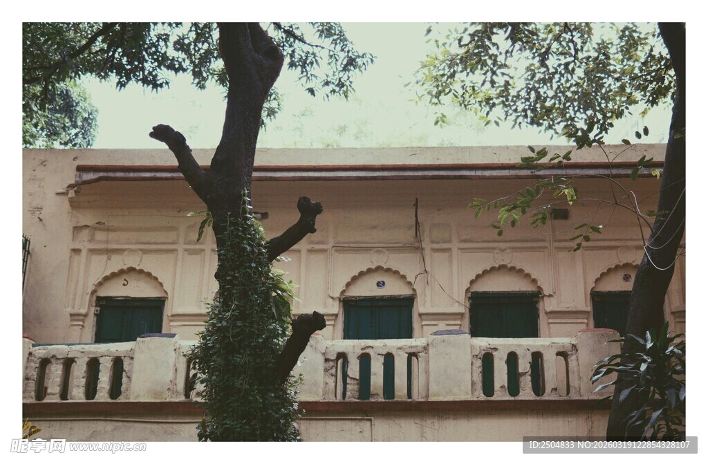 古朴建筑旁的葱郁树木