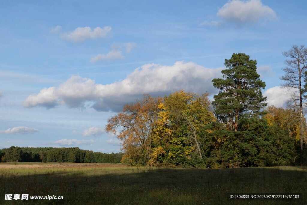 秋日田野树林风景图