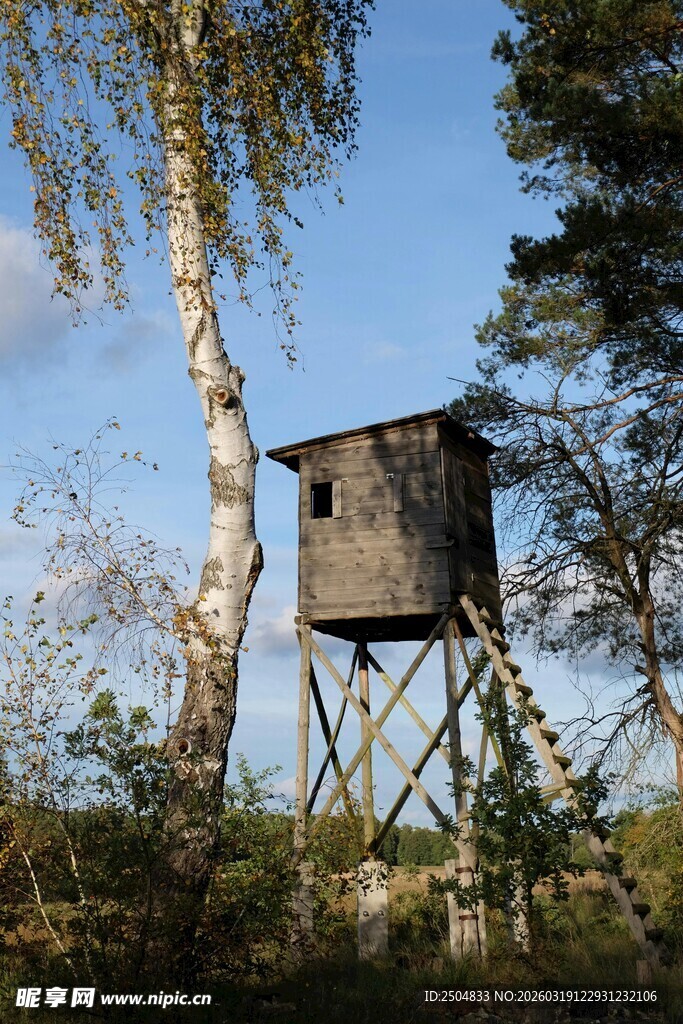森林中的木质瞭望塔