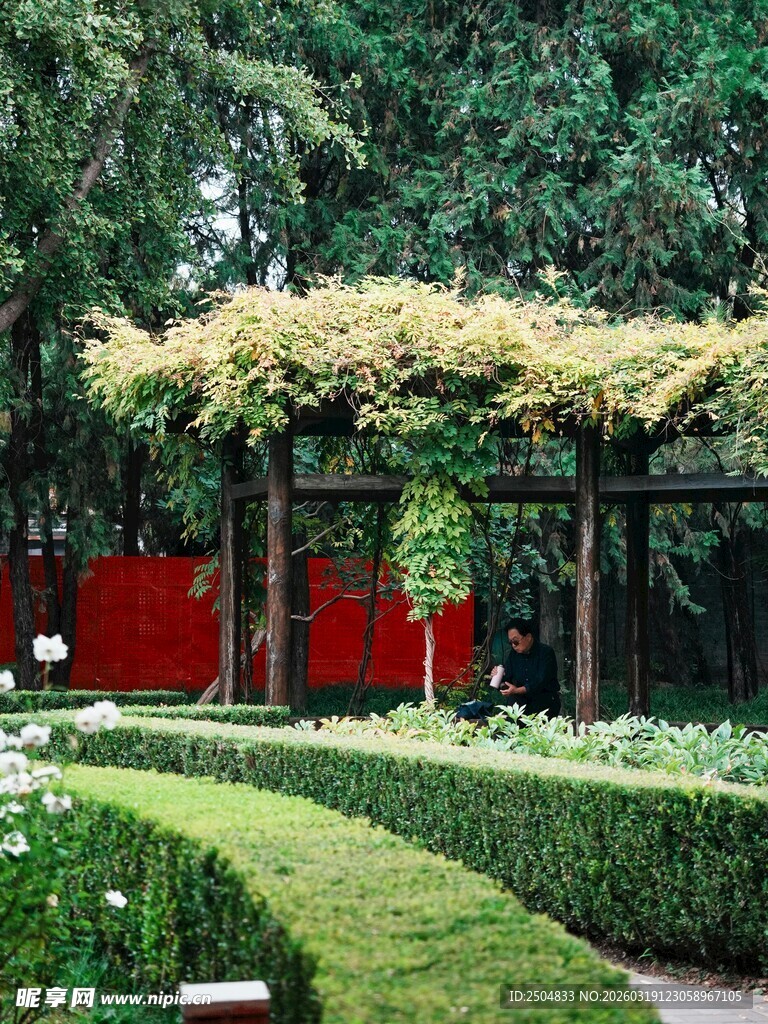 花园中的精致藤蔓凉亭